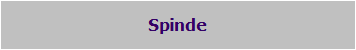 Spinde